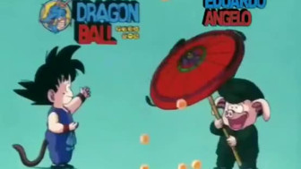 Dragon ball 09
