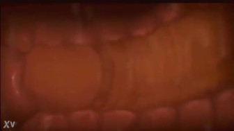 Creampie Animation
